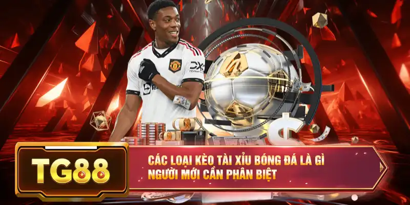 Các loại kèo tài xỉu bóng đá là gì người mới cần phân biệt