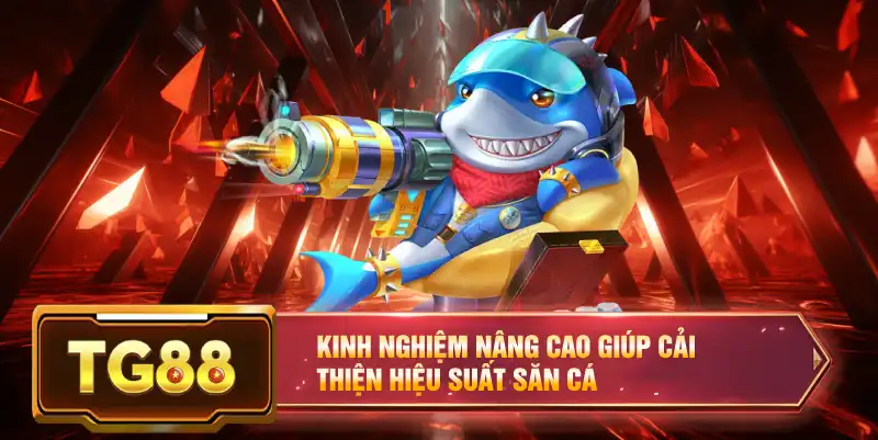 Kinh nghiệm nâng cao giúp cải thiện hiệu suất săn cá